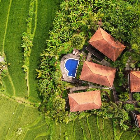 Barong Villas Sidemen  Exteriör bild