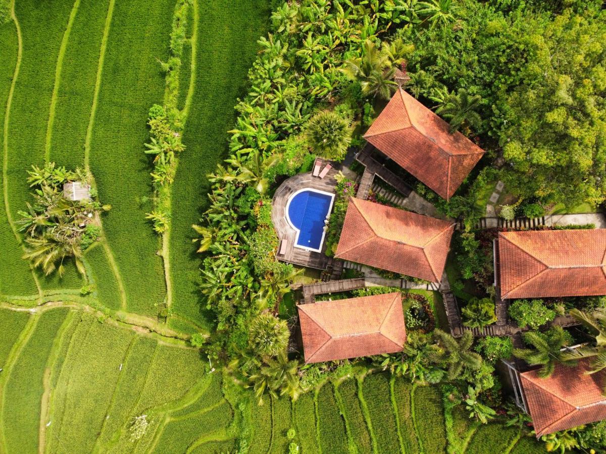 Barong Villas Sidemen  Exteriör bild